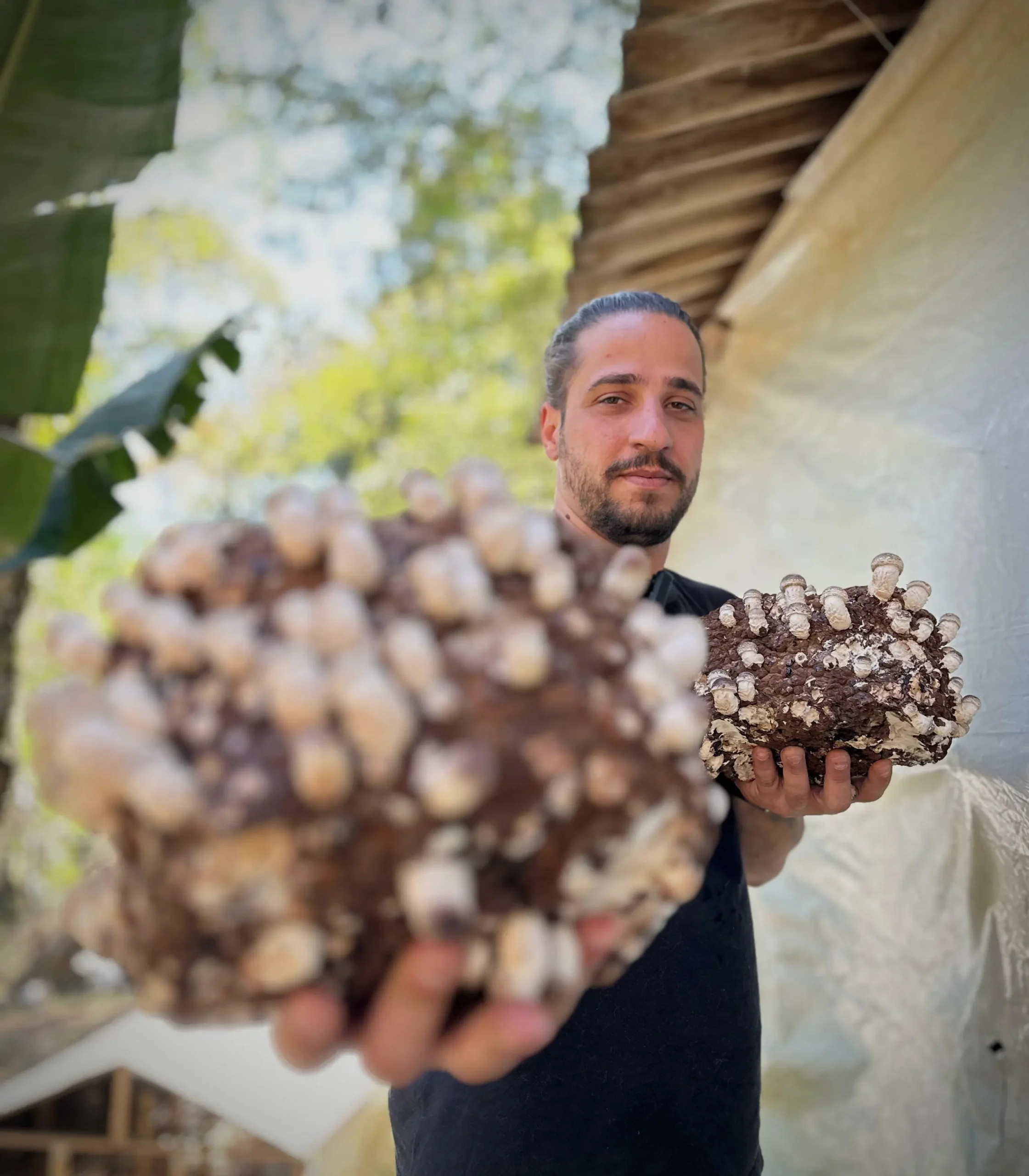 Renan Sopeletto — Fundador da Cogumelos Vale Verde, segurando cogumelos na produção