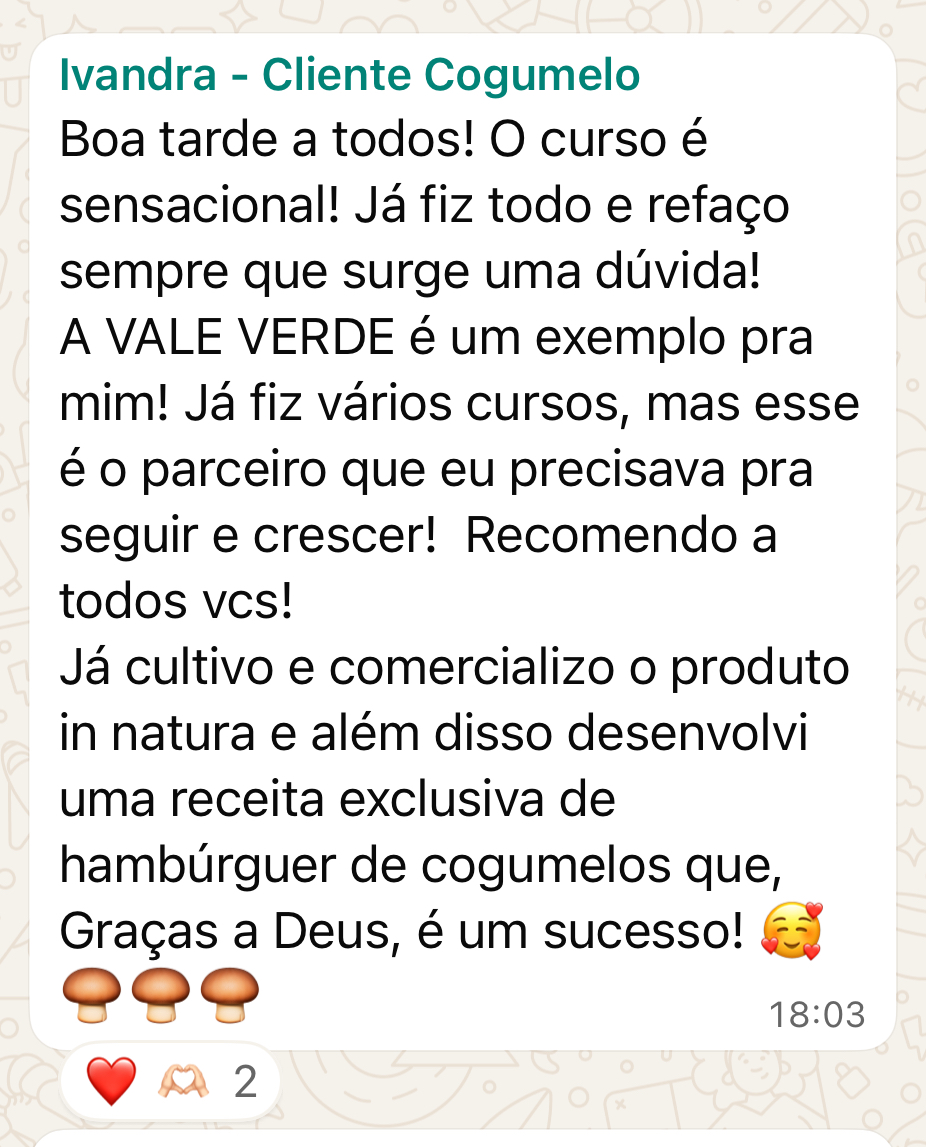 Depoimento de aluno via WhatsApp