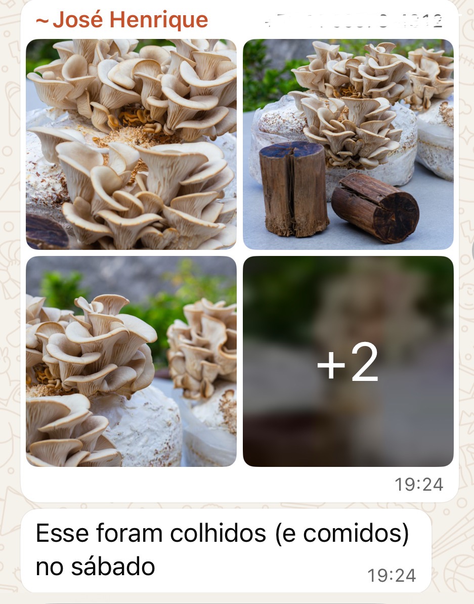 Depoimento de aluno via WhatsApp