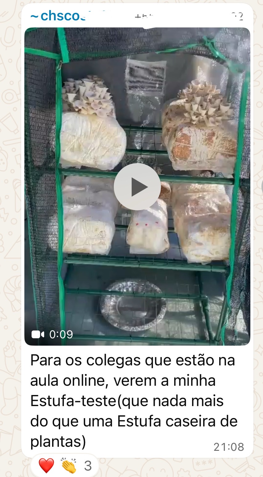 Depoimento de aluno via WhatsApp